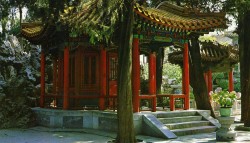 Imperial garden